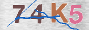 キャプチャ画像